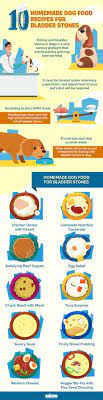 10 homemade dog food for bladder stones