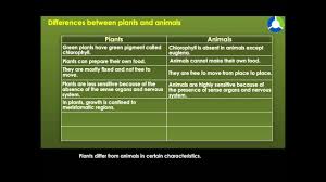 Difference Between Plants And Animals