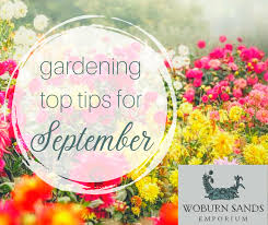 Gardening Top Tips For September Woburn