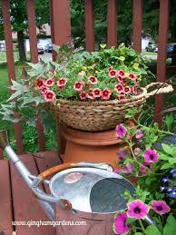 Creative Flower Container Gardening
