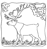 << back to animals groups. Polar Animals Coloring Pages 1 Arctic And Antarctica