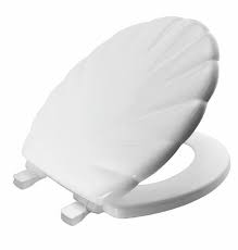 Slow Closing Quick Release Toilet Seat