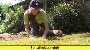 Always start on the edges when laying sod. How To Install Sod Here Are All The Details Youtube
