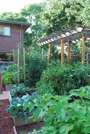 Grow A Thriving Vegetable Garden This