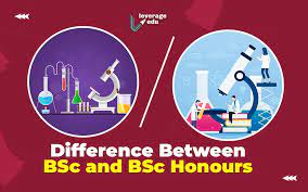 difference between bsc and bsc hons