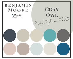 Gray Owl By Benjamin Moore Interior