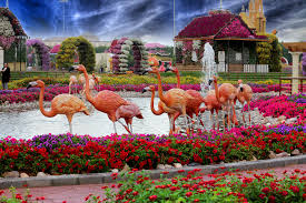 tourist attractions dubai miracle garden