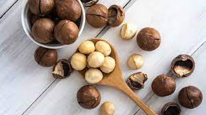 Орех макадамия сочетает аромат шоколада, отменный вкус и лечебные свойства, благодаря витаминам и ценным веществам. Oreh Makadamiya Samaya Bystrorastushaya Orehoplodnaya Kultura Mira Eastfruit