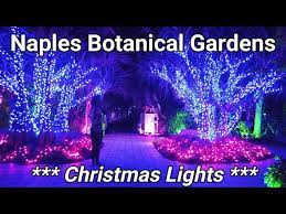 naples botanical gardens christmas