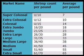 F Y I Shrimp Size Chart Shrimp Size Chart Marketing