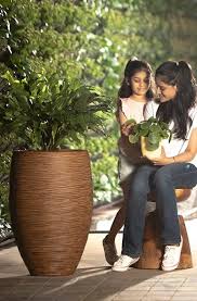 indoor outdoor planter for home and