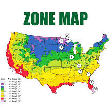 36 Full Priority Mail Zone Map
