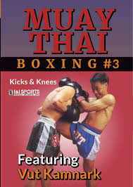 muay thai kickboxing boxing 3 kicks