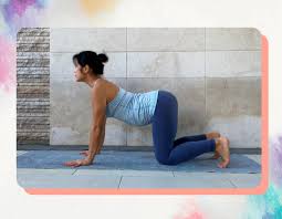 Start by coming on to the ground or yoga mat and find the table top position on your hands and knees. 7 Safe Prenatal Yoga Poses For The First Trimester