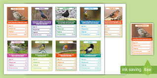 English country garden by aaron kenny, thexvid audio library. Big Birdwatch Themed Top Cards Game Teacher Made