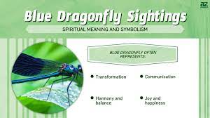 blue dragonfly sightings spiritual