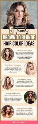 22 amazing brown to blonde hair color ideas