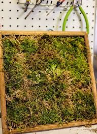 How To Make Diy Moss Wall Art Cottage
