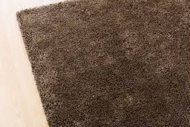 best types of carpet modernize
