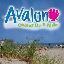 Avalon Chamber Of Commerce Visitavalonnj On Pinterest