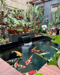 Modern Koi Fish Pond Designs