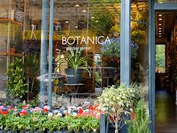 best plant s nyc offers to create