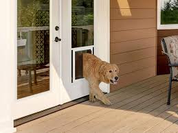 Plexidor Dog Door For French Doors Are