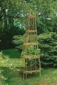 Willow Obelisk Stock Photo By Mark