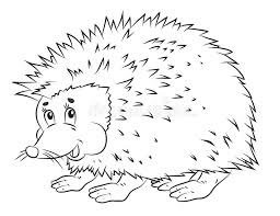 Big the cat, sonic character. Hedgehog Coloring The Image Of The Animal In Black And White Stock Illustration Illustration Of Graphics Animal 153090174