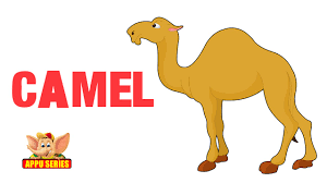 Use the illustrations and pronunciations below to get started. Animal Sounds Camel Youtube