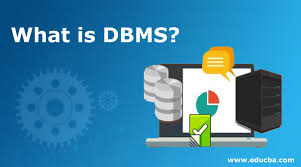 what is dbms basic concepts scope