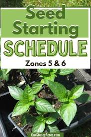 Zone 5 6 Seed Starting Schedule Our