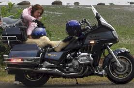 Motorcycle Sheepskin Seat Cover Needed