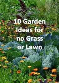 Garden Ideas For No Grass Or Lawn