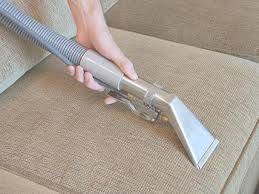 executive green carpet cleaning services