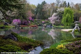 Exploring The Montréal Botanical Garden