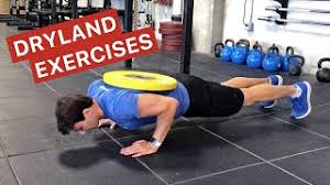 dryland exercises for swimmers myswimpro