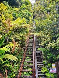 blue mountains by train from sydney