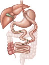 gastric byp surgery melbourne
