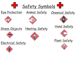 TOPIC: Lab Safety AIM: How do we practice safety in the science laboratory?  DO NOW: Why is it important to follow safety rules? - ppt download