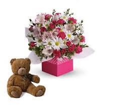 Check spelling or type a new query. Flowers Delivered With A Soft Teddy Bear Toy Teddy Bear Toys Teddy Bear Soft Teddy Bear