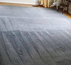 sunbird carpet cleaning silver spring