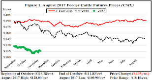 October Florida Cattle Market Price Watch Panhandle