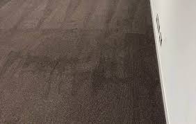 adelaide carpet steam cleaning