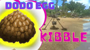 how to make dodo egg kibble in cooking
