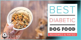 homemade dog food recipes for diabetic