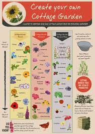 Garden Plants Gardening Infographic