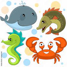 Набор морских животных для детей с картинками кит, щука, морской конек и  краб. Stock Vector | Adobe Stock