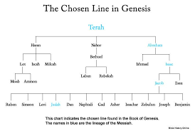 Chart Of The Chosen Line Of The Messiah In Genesis Bible