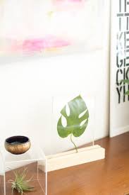 Plexiglass Framed Leaf Home Accessory